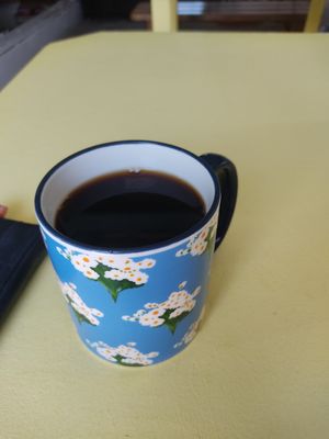 Filter coffee at Josie's  in Utila