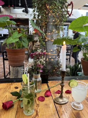 Adorbs  at Colibrí in San Carlos