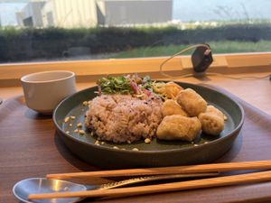 Vegan chicken plate (I removed the spicy sauce)  at NRT - T's Tantan - T2 in Narita