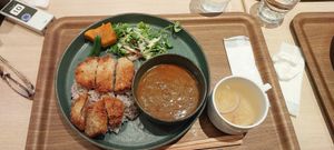 Cutlets and curry,  I could eat these all day long at NRT - T's Tantan - T2 in Narita