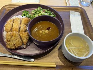 Vegan cutlet (katsu) rice bowl w/ curry  at NRT - T's Tantan - T2 in Narita