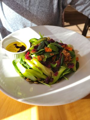 Winter salad with oil and vinegar dressing at Great Sage in Clarksville