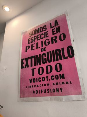  at Burger Evolution in Buenos Aires