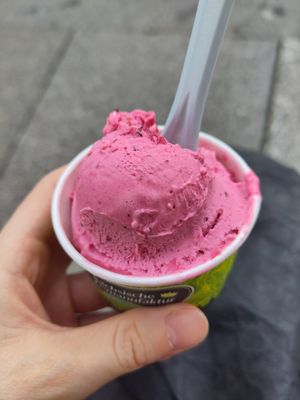 Eine Kugel Waldbeersorbet im Becher at Sächsische Eismanufaktur in Dresden