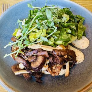 Wild mushrooms and spring greens on toastt  at The Oxford Blue in Oxford