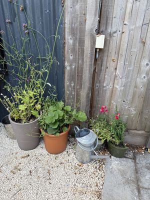   at The Oxford Blue in Oxford