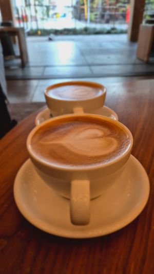 Oat milk lattes at Stumptown Coffee Roasters - Ace Hotel in Kyoto