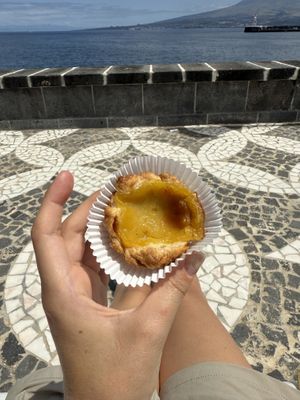   at Faial Veg in Horta