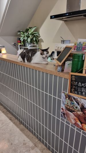  at JiuSuo Plant-based Eatery - 玖所 in Kaohsiung