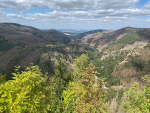 In the area. at Vegane Bergpension in Schulenberg