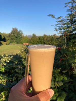  at Vegane Bergpension in Schulenberg