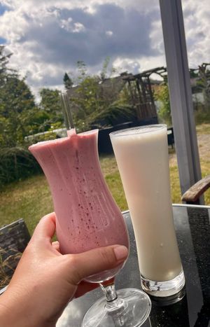  at Vegane Bergpension in Schulenberg