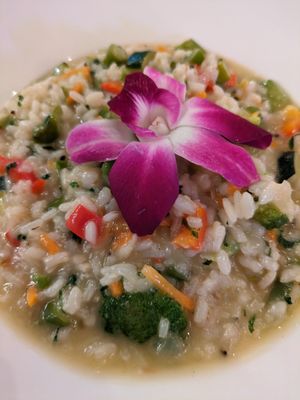 Primavera Risotto at Sofia's in New York City