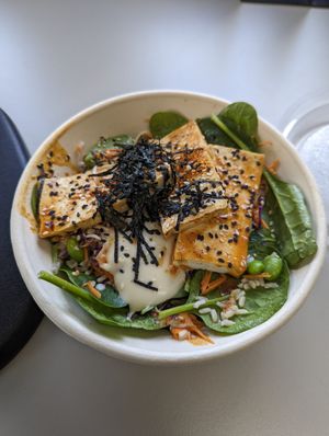Mofo Tofu at Bowls Baby in Melbourne