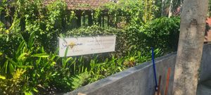  at Samyama Eatery in Ubud