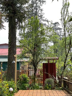  at Yen Vegan Restaurant & Bar in Sapa