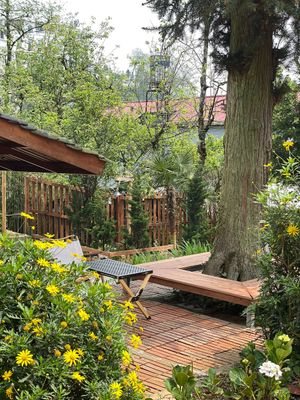  at Yen Vegan Restaurant & Bar in Sapa