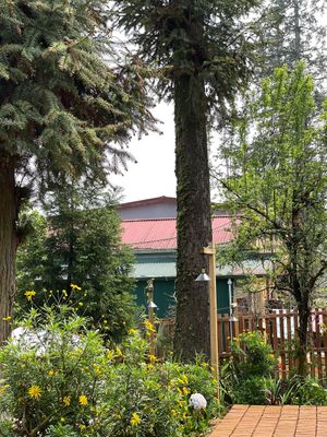  at Yen Vegan Restaurant & Bar in Sapa