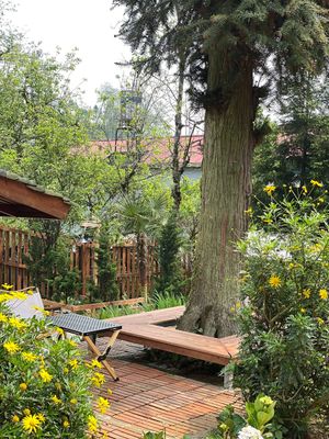  at Yen Vegan Restaurant & Bar in Sapa