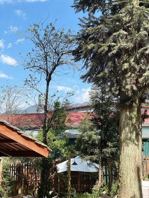  at Yen Vegan Restaurant & Bar in Sapa