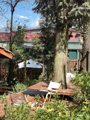  at Yen Vegan Restaurant & Bar in Sapa