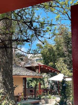  at Yen Vegan Restaurant & Bar in Sapa