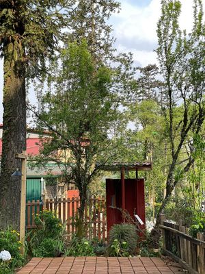  at Yen Vegan Restaurant & Bar in Sapa