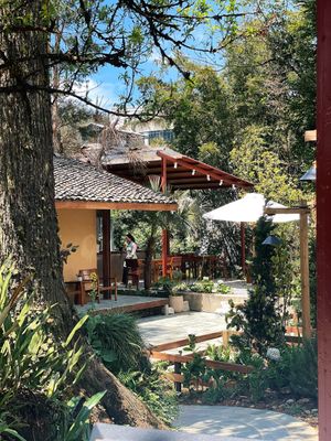  at Yen Vegan Restaurant & Bar in Sapa