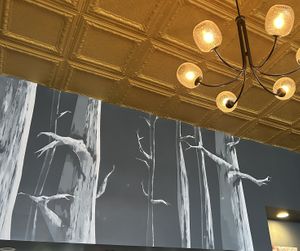   at Tree House in St Louis