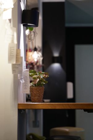   at Eiscafé numero UNO in Guenzburg