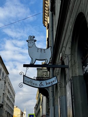   at Zërgë Coffeeshop in Budapest