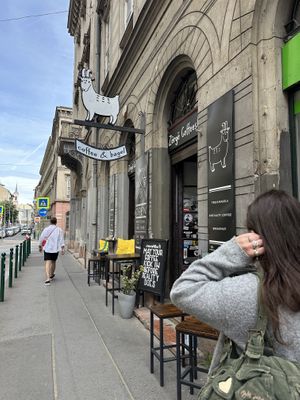   at Zërgë Coffeeshop in Budapest