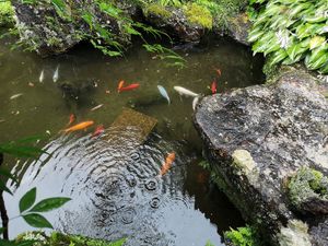 at Konohanaya - 木ノ花屋 in Nagano