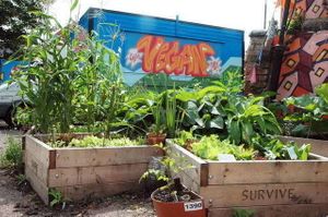 The Sumac Cafe at The Sumac Cafe in Nottingham