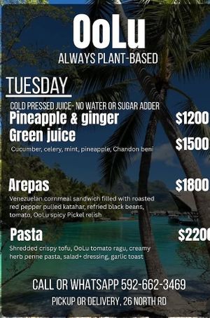 Example of daily menu at Lydia Vallo Food in Georgetown