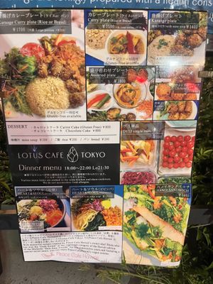   at LOTUS CAFE TOKYO in Tokyo