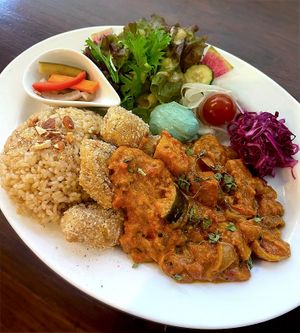 Vegan karrage and curry plate at LOTUS CAFE TOKYO in Tokyo