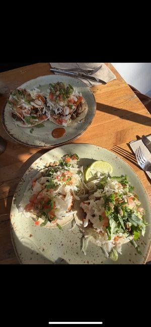 tacos vegan   at Alimentaria Mexicana in Vancouver