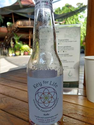 Kefir at The Garden Kafe at The Yoga Barn in Ubud