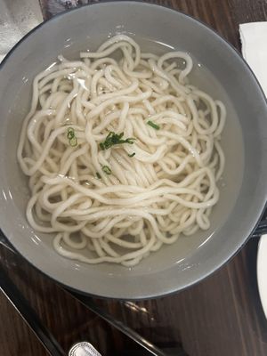 Noodles   at Shanghai Villa in New York City