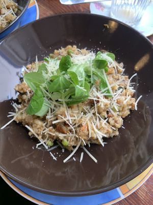 Risotto with mushrooms   at Vieta in Vilnius