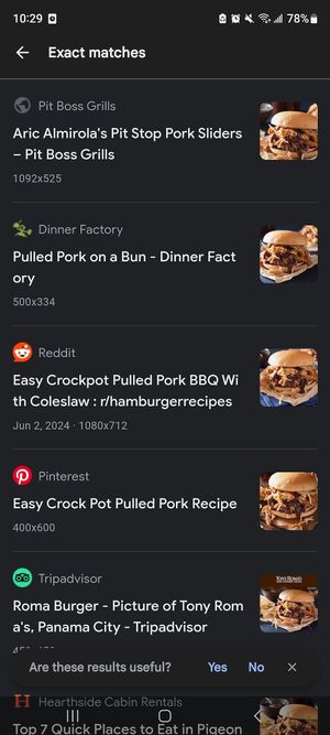  at Tulsi Vegan Cuisine in Montreal