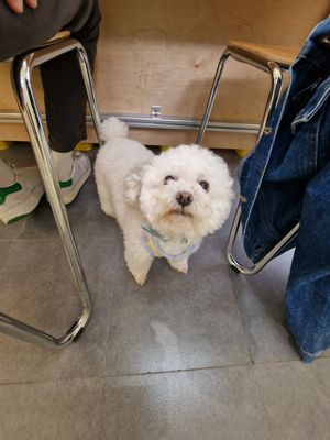  at Cafe Nagisa 渚室  in Hangzhou