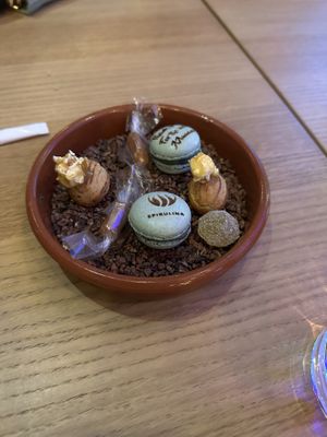   at Atelier VERT in Davos