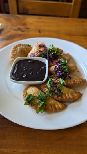 Fried pumpkin momo with chocolate sauce at Places Restaurant and Bar in Kathmandu