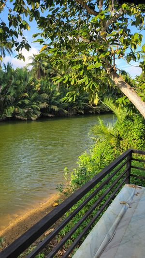 The stunning view from our table at Farm Hug You - ฟาร์มฮัก in Chumphon