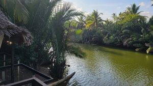 The stunning view from our table part 2 at Farm Hug You - ฟาร์มฮัก in Chumphon