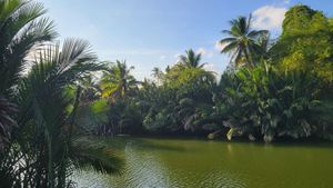 The stunning view from our table part 3 at Farm Hug You - ฟาร์มฮัก in Chumphon