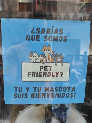 Se puede entrar con animales no humanos ^^ at Cafeteria Riglos in Jaca