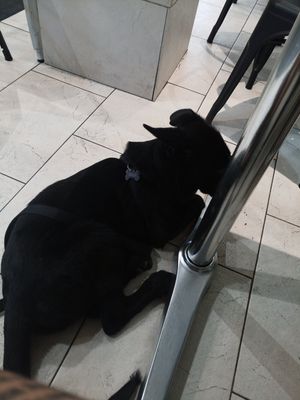 Gracias 😊🖤 at Cafeteria Riglos in Jaca